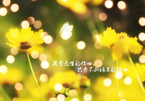 {浦東娛樂}(生活图片感悟人生意义)